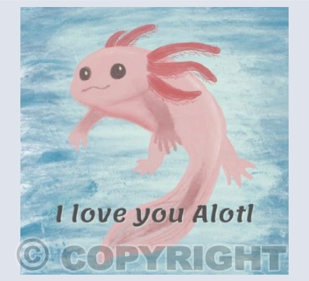 Axolotl #3 