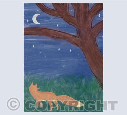 Little Fox 