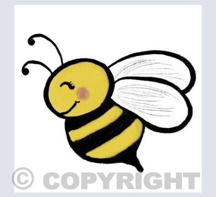 Little Bee 