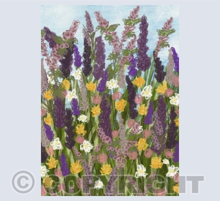 Meadow Flowers 