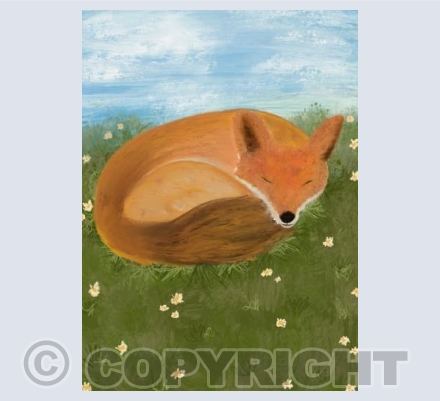 Sleeping Fox