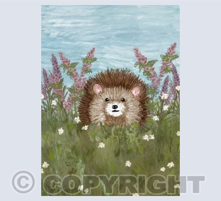 Hedgehog Meadow 