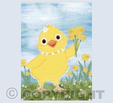 Daffodil chick 