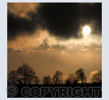 Evening light