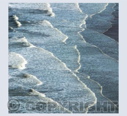 Shoreline