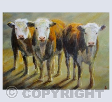 Herd