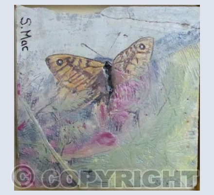 Butterfly Tile