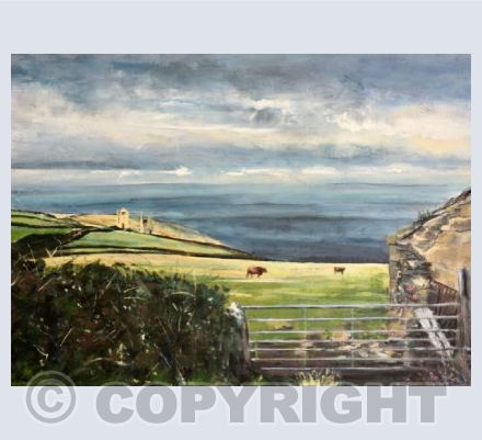 Botallack Bull View