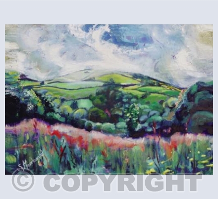 Lamorna Valley 