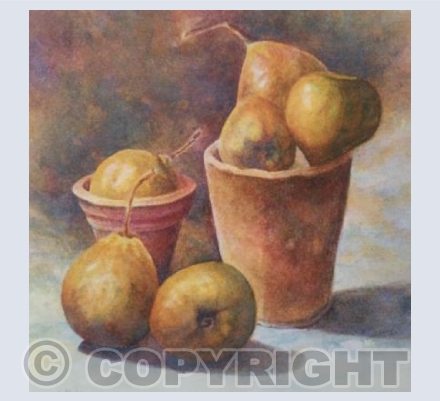 Flower pots and pears