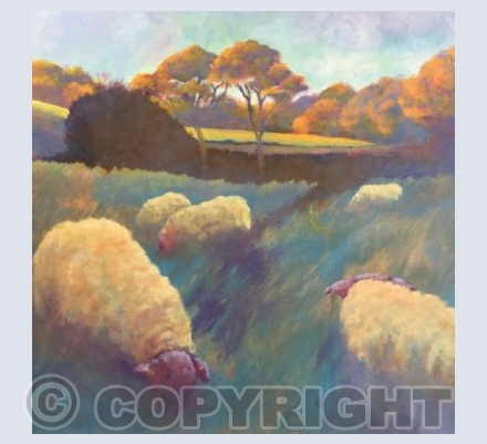 Grazing in The Slades