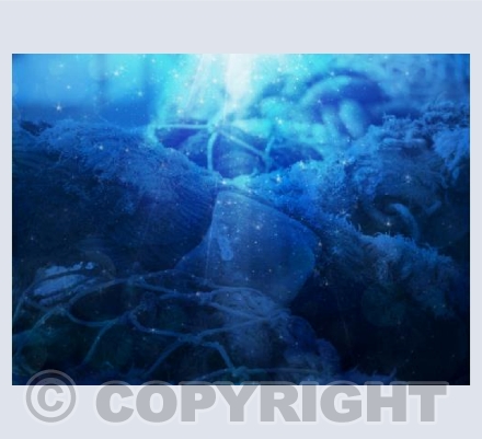 Beach Tangle  - Under Water Affect