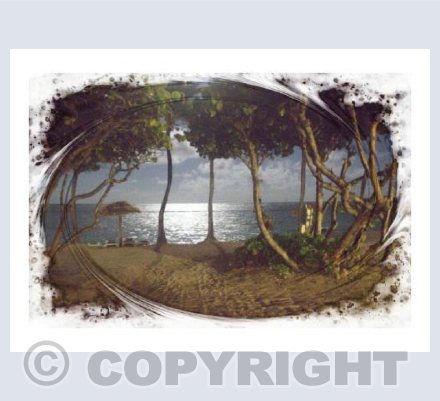 Antiguan Beach At midnight