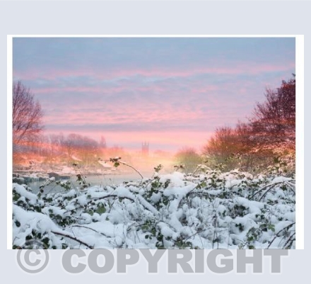 Snowfall In Molesey