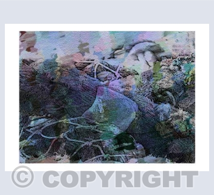 Beach Entanglement