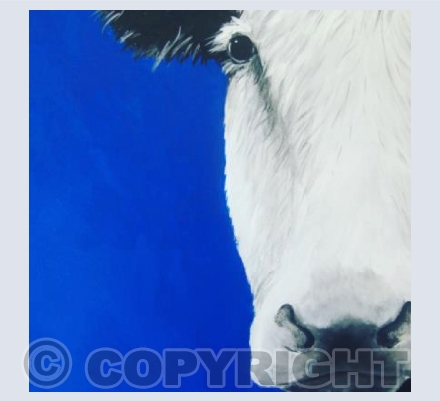 Blue Cow