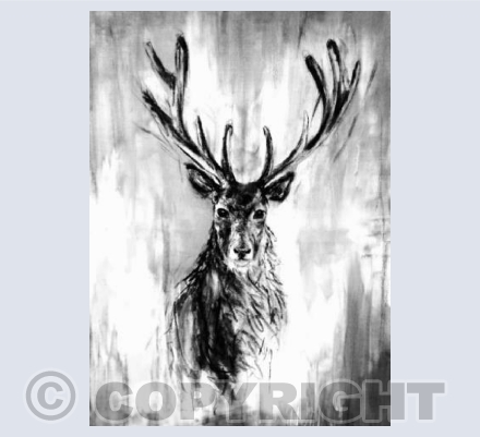 Stag's head