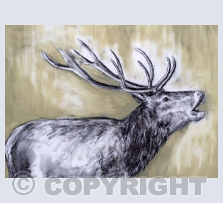 Roaring stag