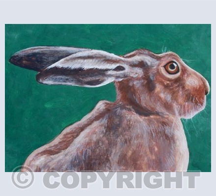 Green hare