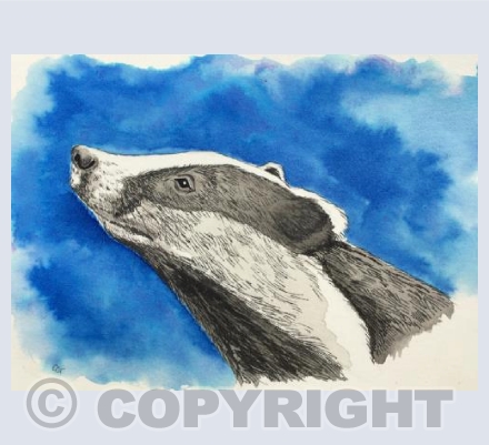 Badger