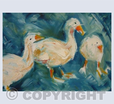 Gaggle of Geese