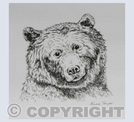 Big Bear