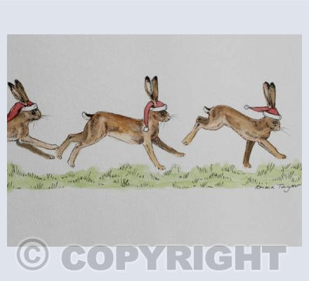 Christmas Hares