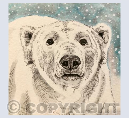 Polar Bear in the Snow