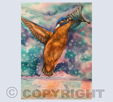 Kingfisher