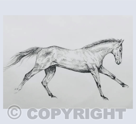 Galloping free