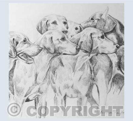 Pencil Hounds