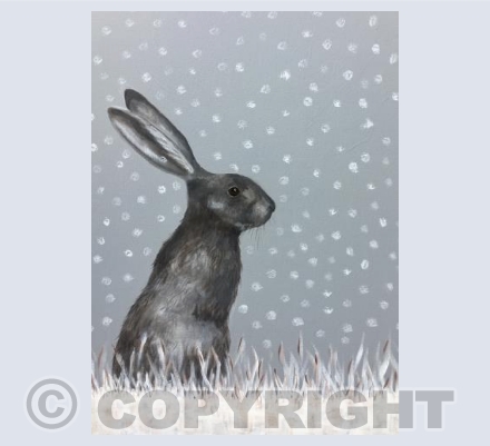 Snowy fgqrey rabbit