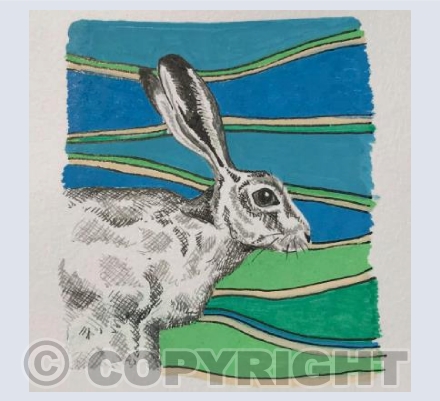 Contemporary Hare