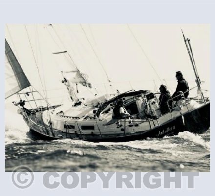 Boat III