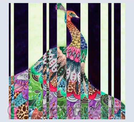 Peacock