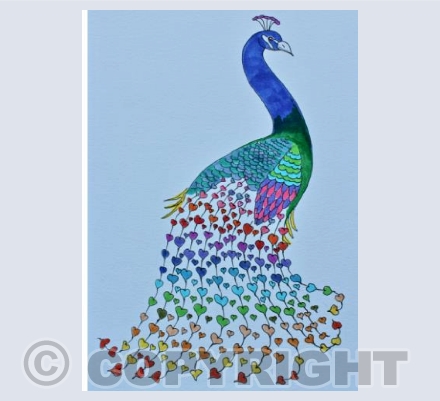 Peacock love