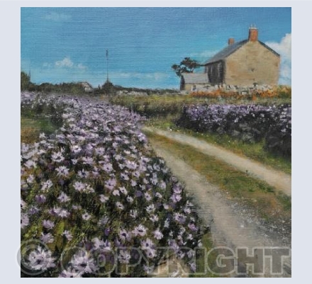 Livingstone Daisies, Kemyel