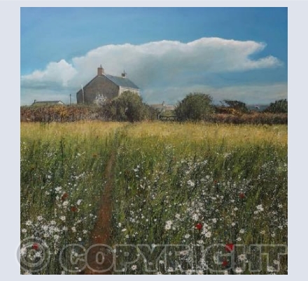 Summer Meadow, Kemyel