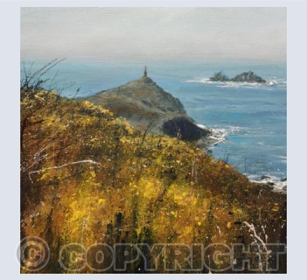 Cape Cornwall, Summer Gorse