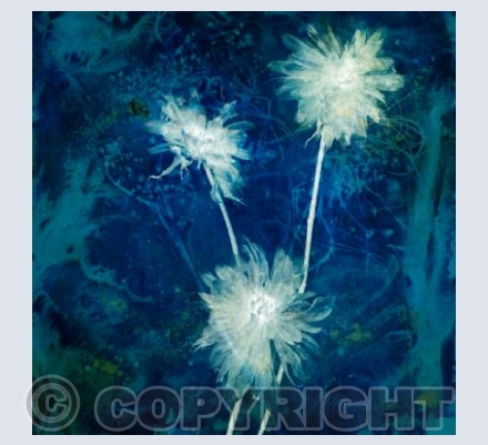 Coalesce in Blue #3