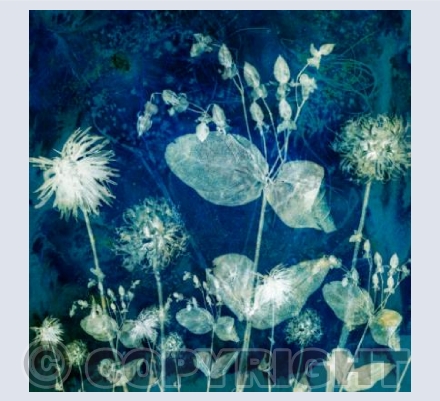 Coalesce in Blue #2