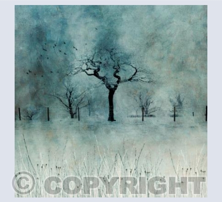 Tree at Shelley