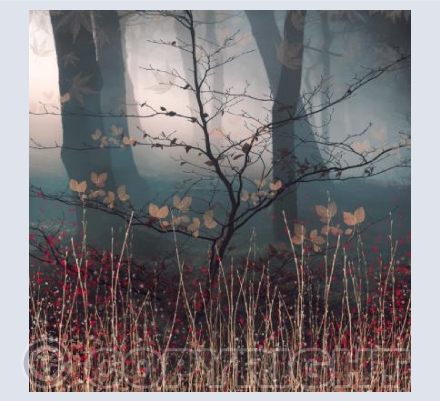 Small Tree Misty Dawn