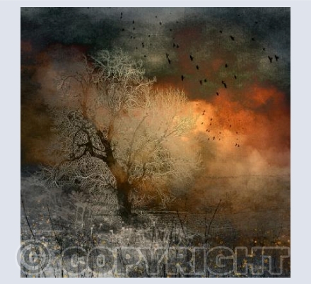 The Ice Tree