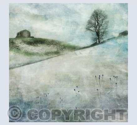 Swaledale Barn 1