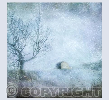 Swaledale Barn 2