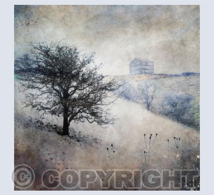 Swaledale Barn 3