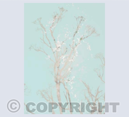 Blossom Abstract
