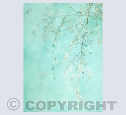 White Blossom