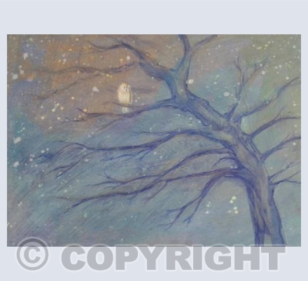 Owl in Tree